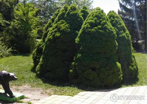 Ботанический сад ставрополя фото Отзыв о Ботанический сад (Россия, Ставрополь) в царстве красоты и ароматов