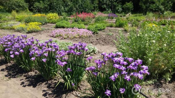 Ботанический сад ставрополя фото Отзыв о Ботанический сад (Россия, Ставрополь) в царстве красоты и ароматов