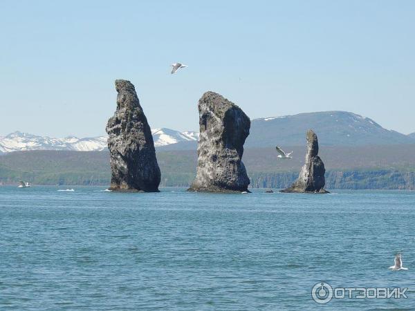 Мыс Маячный Петропавловск Камчатский