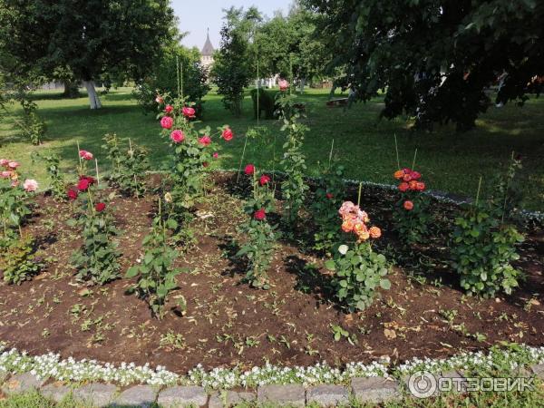 Церковь Святого Игоря Черниговского (Россия, Переделкино) фото