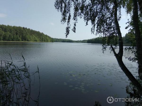 Фото Озер Витебской Области