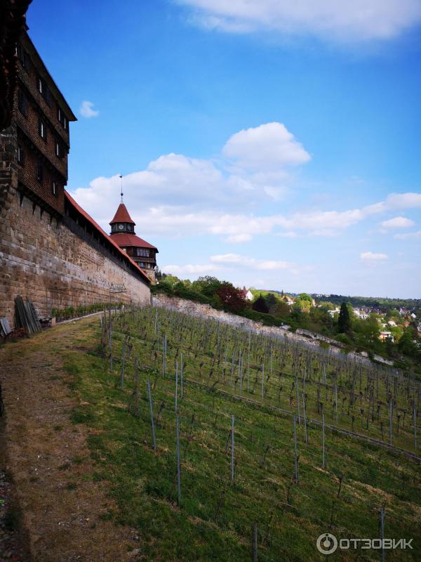 Экскурсия по г. Эслинген-ам-Неккар (Германия, Баден-Вюртемберг) фото