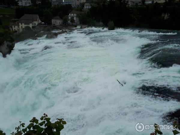 Рейнский водопад (Швейцария) фото