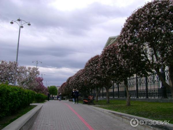 Ресторан Пельмени-клаб (Россия, Екатеринбург) фото