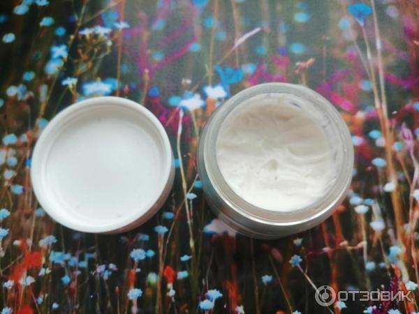 Увлажняющий крем для лица Riche Moisture Creme фото