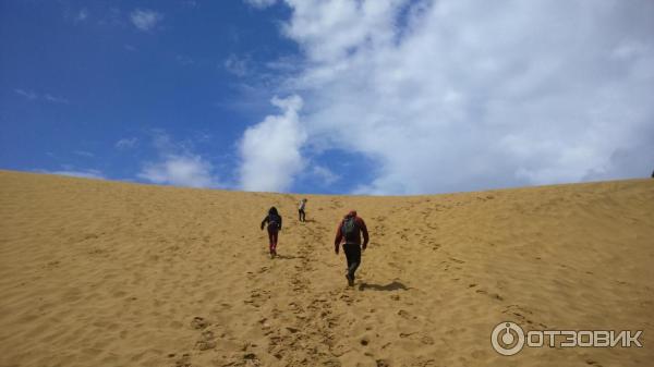 Экскурсия Dune de Pila (Франция, Аркашон) фото