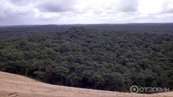 Экскурсия Dune de Pila (Франция, Аркашон) фото