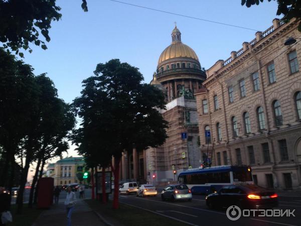 Выставка Токсикоз антропоцентризма Дмитрий Каварга Музейная линия в ЦВЗ Манеж (Россия, Санкт Петербург) фото