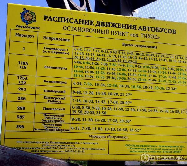 Светлогорск 1 и 2 в чем разница