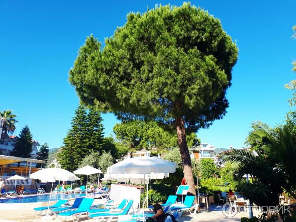 Отель Halici Hotel Marmaris 3* (Турция, Мармарис) фото