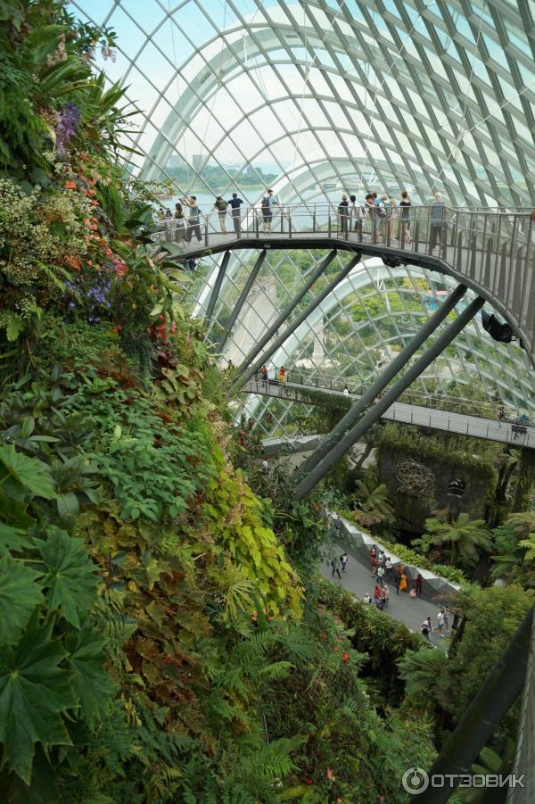 Cloud Forest и Flower Dome