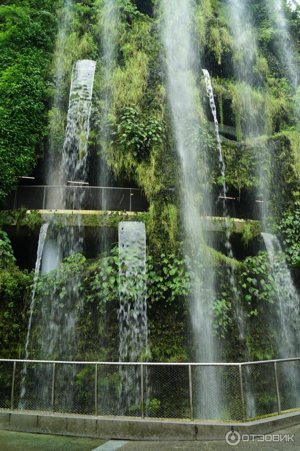 Cloud Forest и Flower Dome