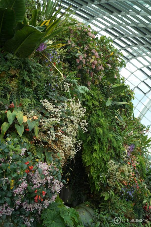 Cloud Forest и Flower Dome