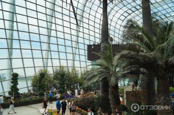 Cloud Forest и Flower Dome