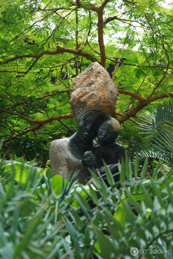 Cloud Forest и Flower Dome