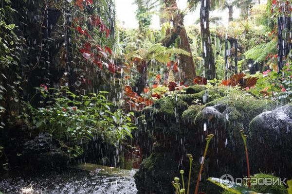 Cloud Forest и Flower Dome