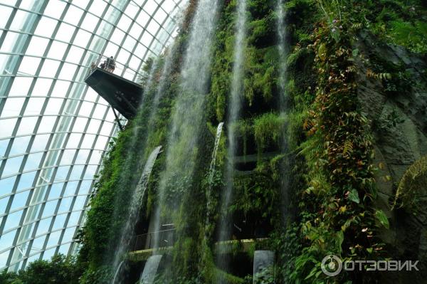 Cloud Forest и Flower Dome