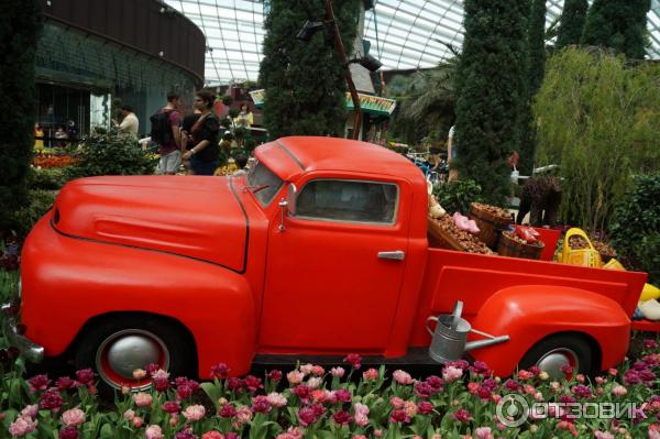 Cloud Forest и Flower Dome