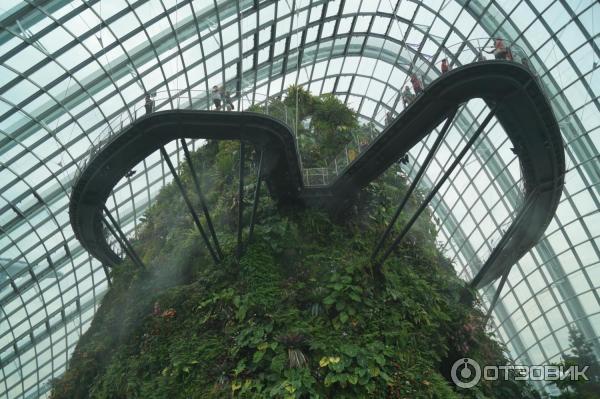 Cloud Forest и Flower Dome