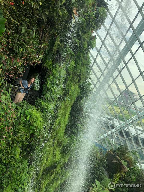 Cloud Forest и Flower Dome