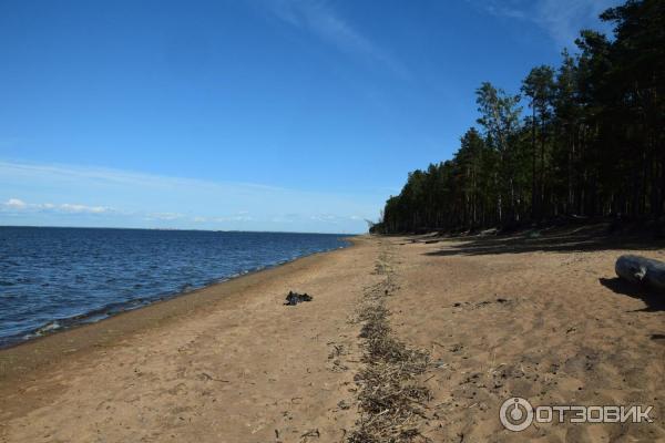 Большая ижора пляж