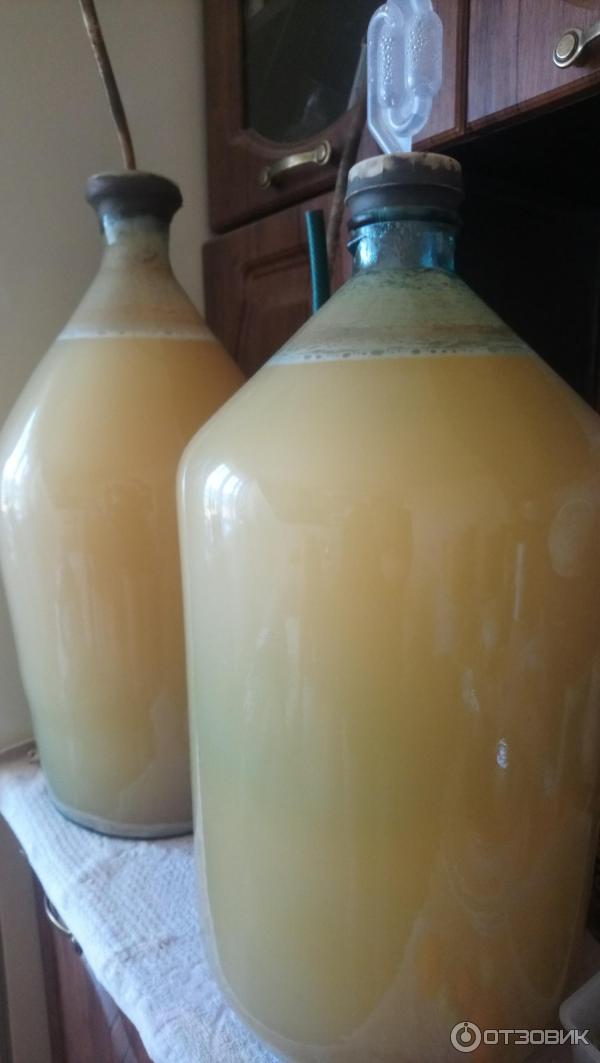 Отзыв о Солод ячменный пивоваренный Ностерс Barley Malt "Балтийский ...