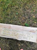 Голубое озеро (Россия, Воскресенск) фото