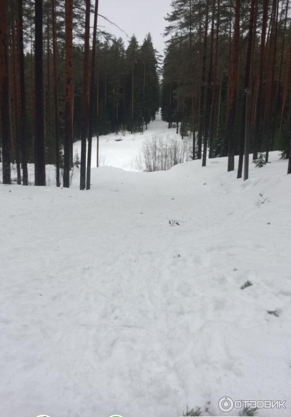 Зимние красоты комплекса