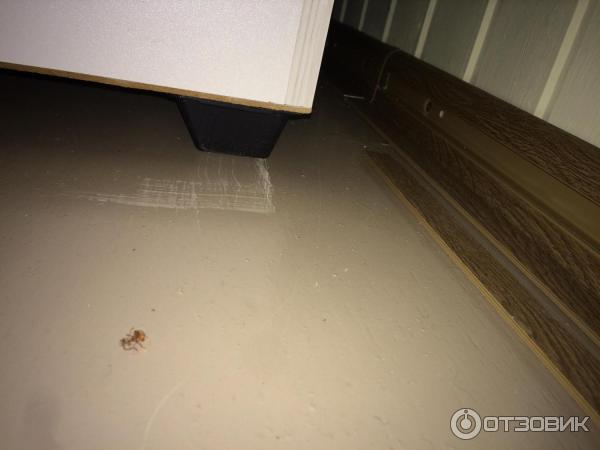 ярославские краски царапается пол
