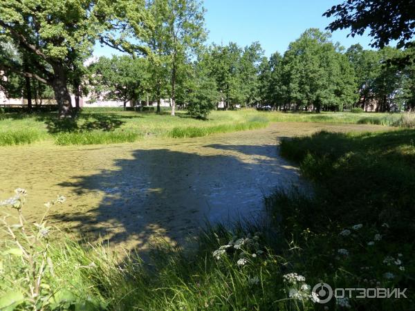 Пешеходная экскурсия Орловский парк, Орловский пруд и братья Орловы (Россия, Санкт-Петербург) фото