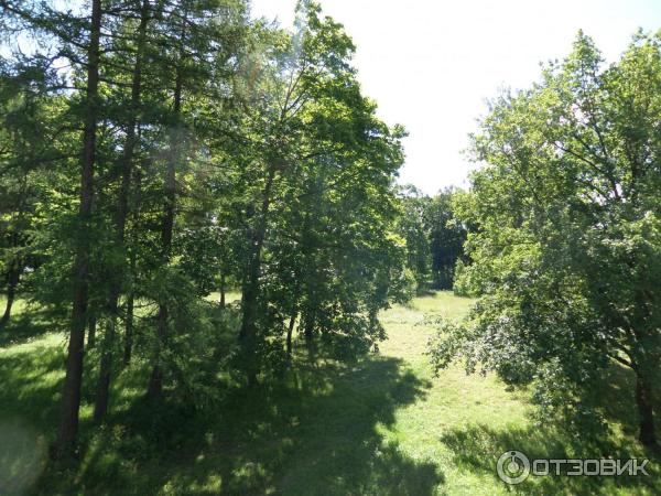 Пешеходная экскурсия Орловский парк, Орловский пруд и братья Орловы (Россия, Санкт-Петербург) фото
