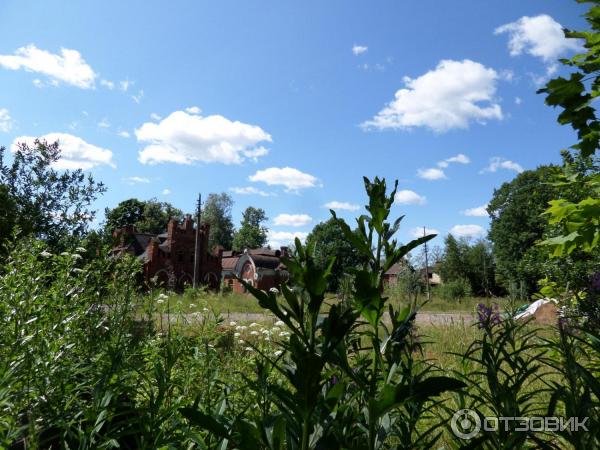 Пешеходная экскурсия Орловский парк, Орловский пруд и братья Орловы (Россия, Санкт-Петербург) фото