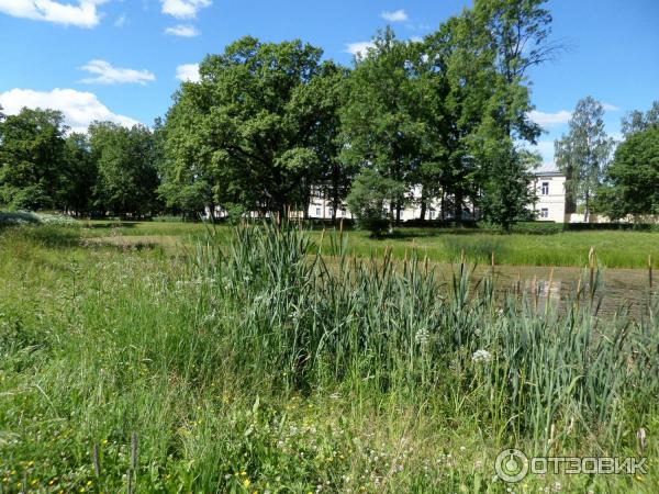 Пешеходная экскурсия Орловский парк, Орловский пруд и братья Орловы (Россия, Санкт-Петербург) фото