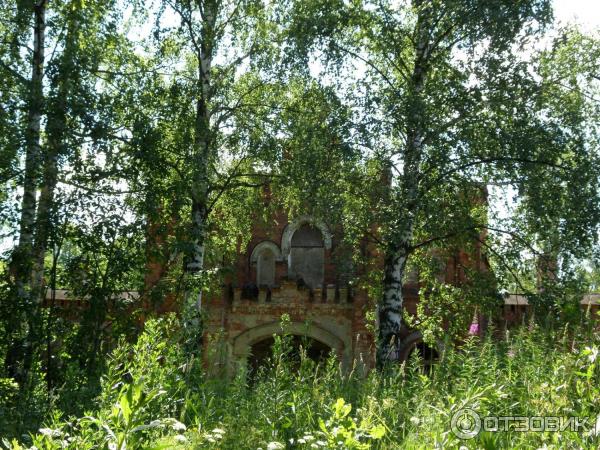 Пешеходная экскурсия Орловский парк, Орловский пруд и братья Орловы (Россия, Санкт-Петербург) фото