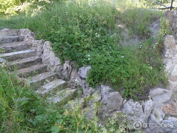 Пешеходная экскурсия Орловский парк, Орловский пруд и братья Орловы (Россия, Санкт-Петербург) фото
