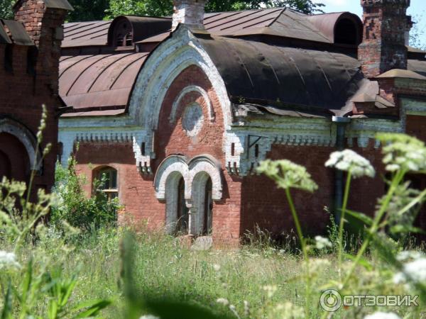 Пешеходная экскурсия Орловский парк, Орловский пруд и братья Орловы (Россия, Санкт-Петербург) фото