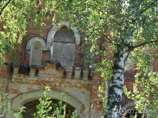 Пешеходная экскурсия Орловский парк, Орловский пруд и братья Орловы (Россия, Санкт-Петербург) фото