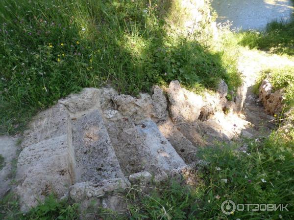 Пешеходная экскурсия Орловский парк, Орловский пруд и братья Орловы (Россия, Санкт-Петербург) фото