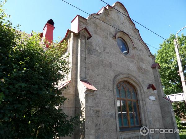 Пешеходная экскурсия Орловский парк, Орловский пруд и братья Орловы (Россия, Санкт-Петербург) фото