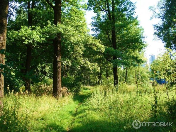 Экскурсия по г. Одинцово (Россия, Московская область) фото