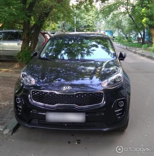 Kia Sportage IV (вид спереди)