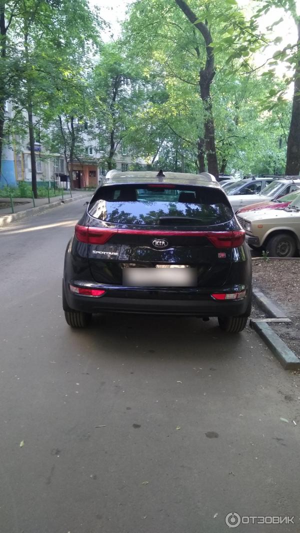 Kia Sportage IV (вид сзади)