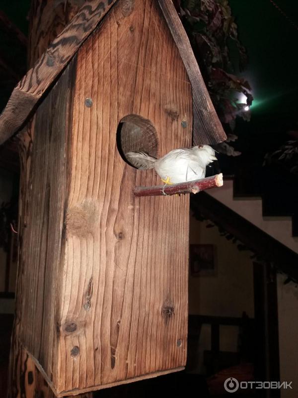 Скворечник с чучелом птицы кафе охотничий рай Ижевск