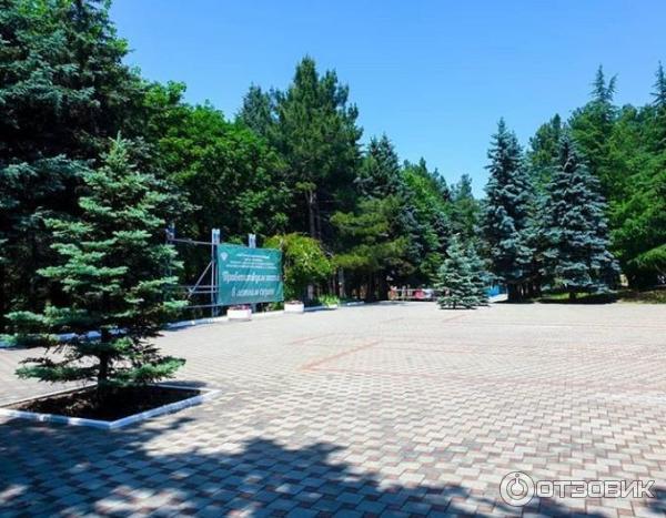 Поселок Криница (Россия, Краснодарский край) фото