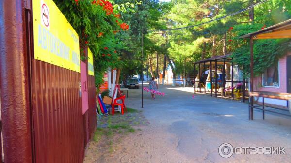 Отдых в п. Джемете (Россия, Краснодарский край) фото