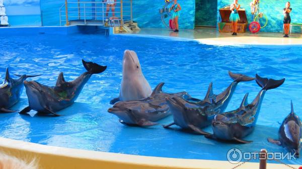 Отдых в п. Джемете (Россия, Краснодарский край) фото