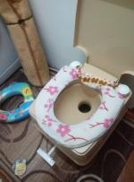 Биотуалет Thetford Campa Potti XGL фото