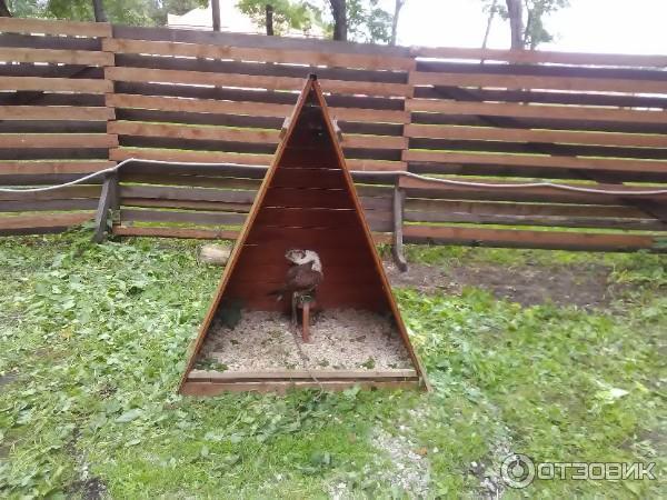 Соколиный двор великий новгород фото YugNash.ru