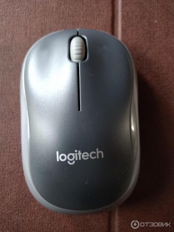 Беспроводная мышь Logitech M185 фото