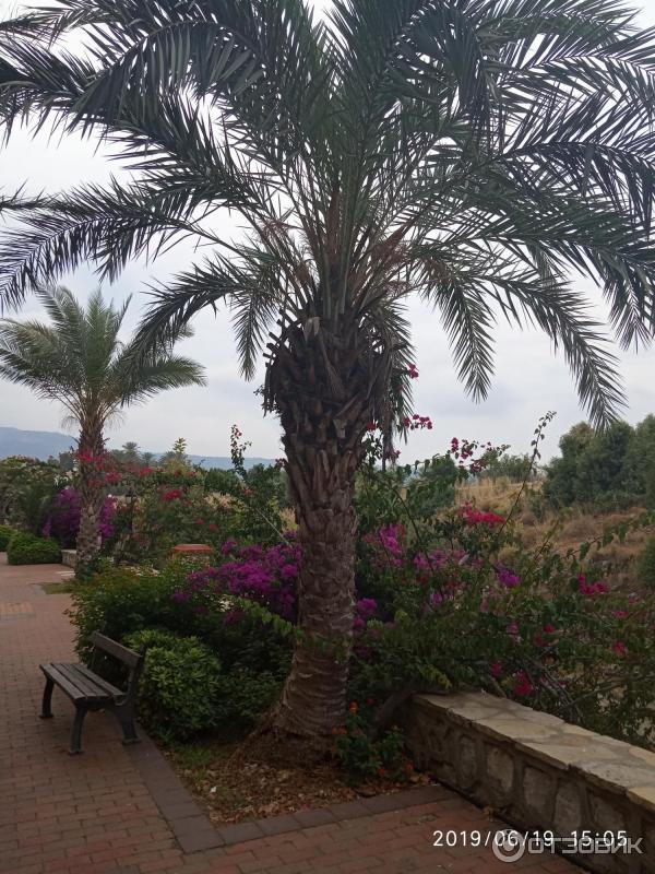 Отдых в поселке Текирова (Турция) фото